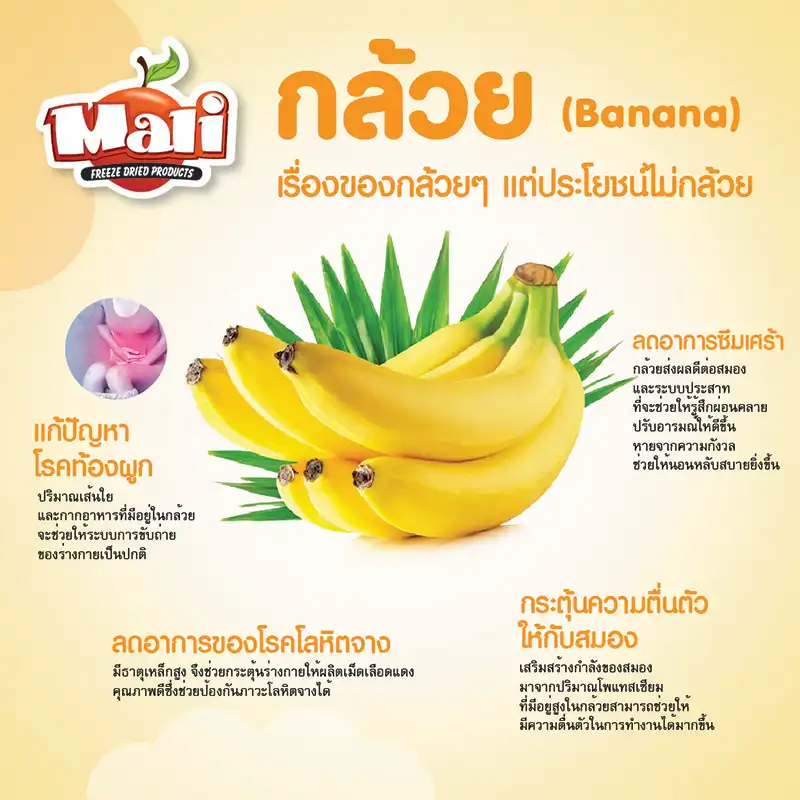 Mali-fdกล้วย-13