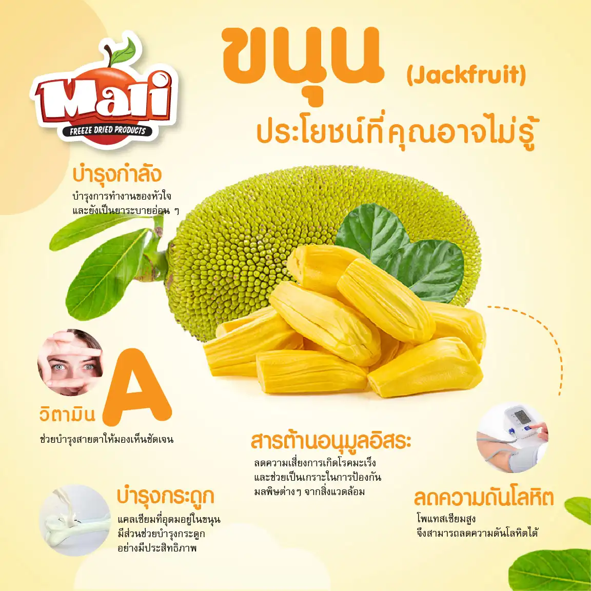 Mali-fdขนุน-96
